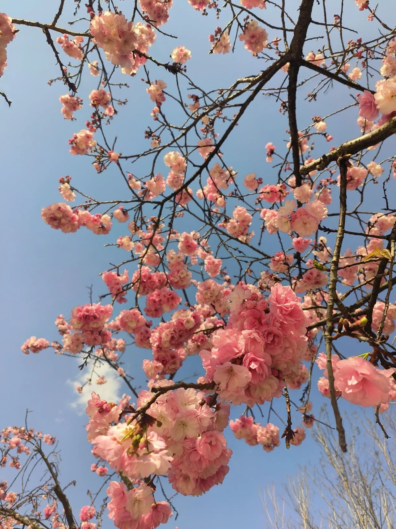 8ca28f410ca93bdea79b0fe4f0cb3069.jpg 8ca28f410ca93bdea79b0fe4f0cb3069.jpg