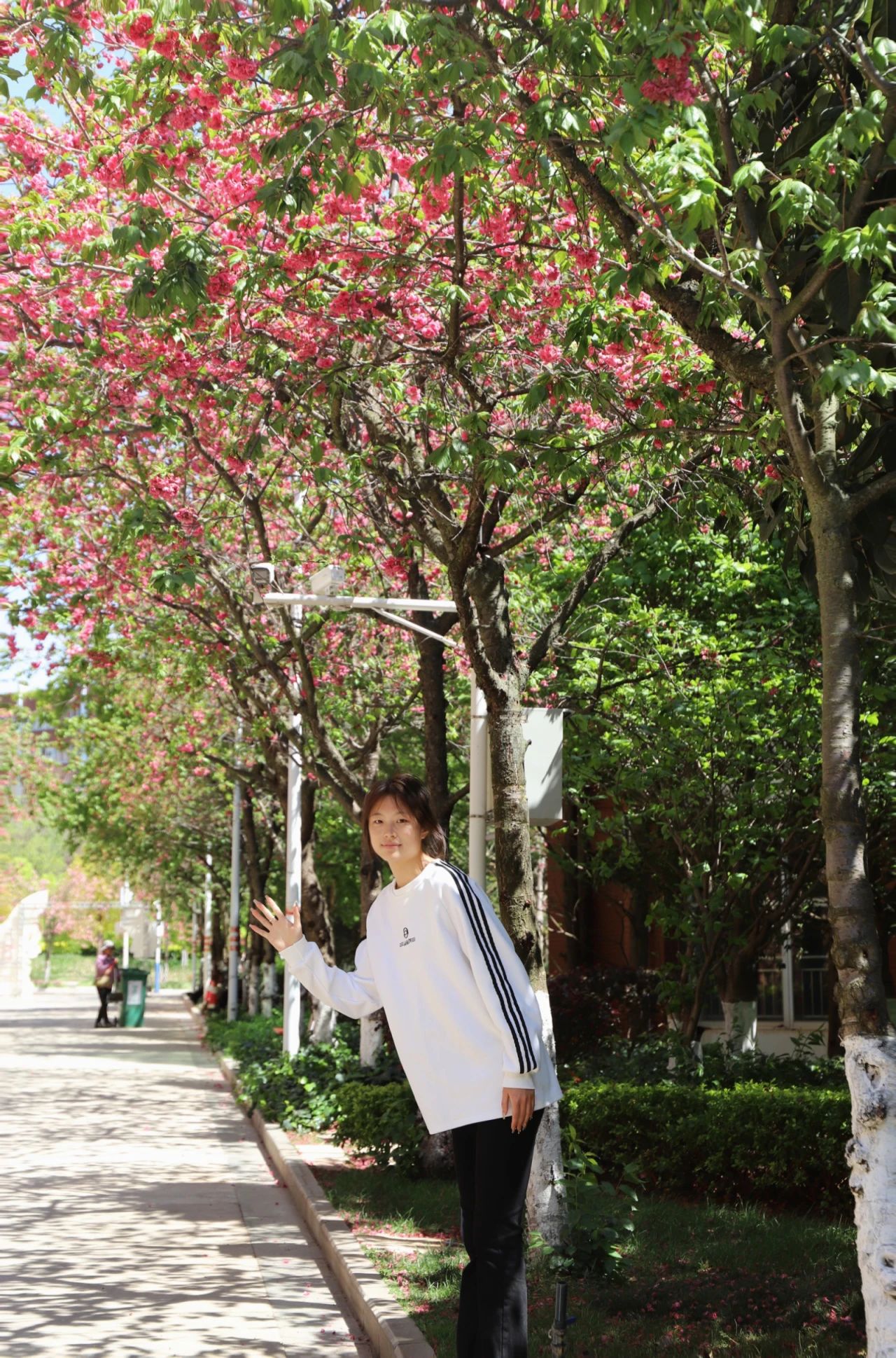 2050f4ef53a11dd64b0992845ec9a893.jpg 2050f4ef53a11dd64b0992845ec9a893.jpg