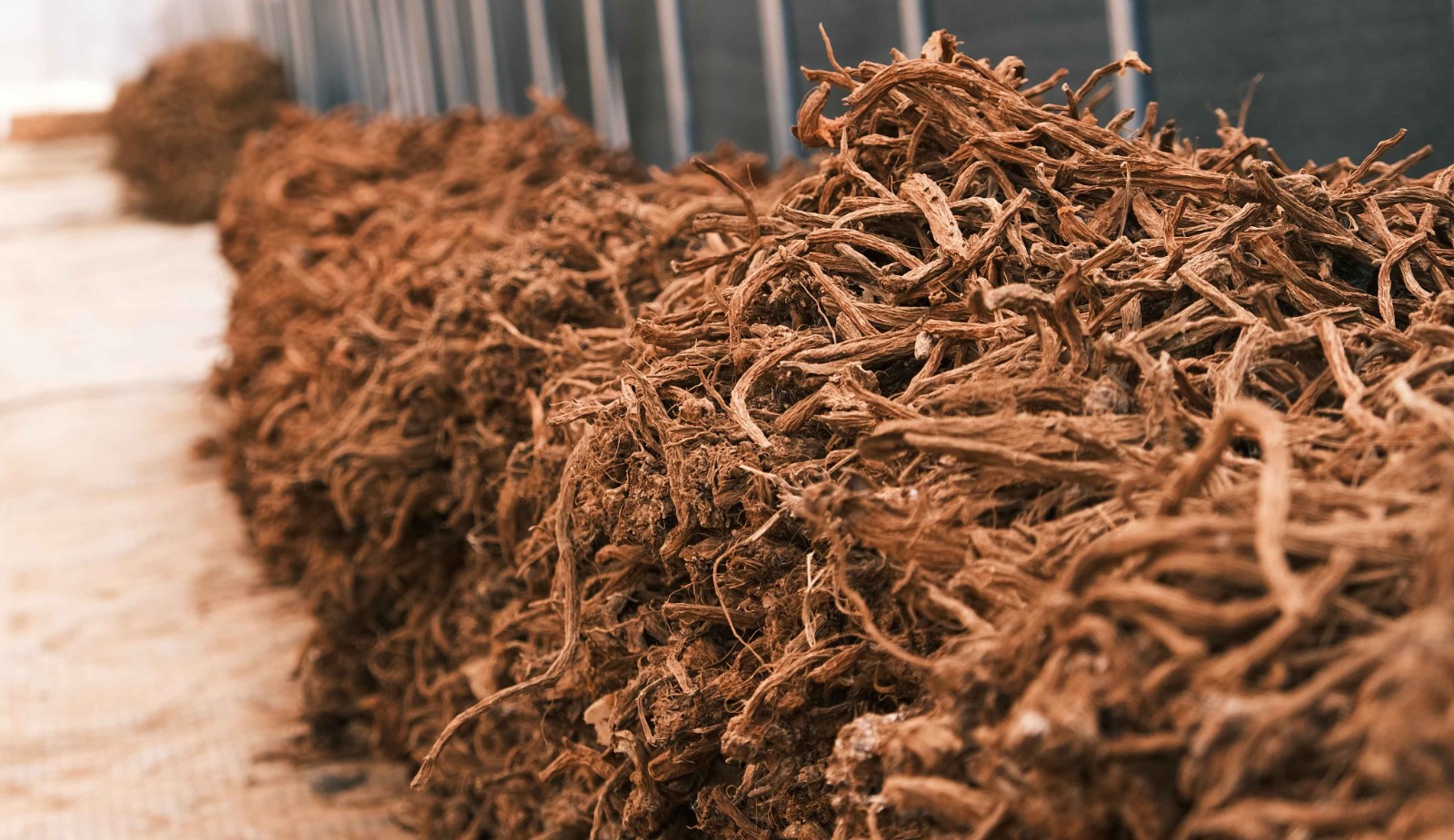 斩获全国银奖，这个团队让侠界奇药照见现实⁉️ 第 6 张