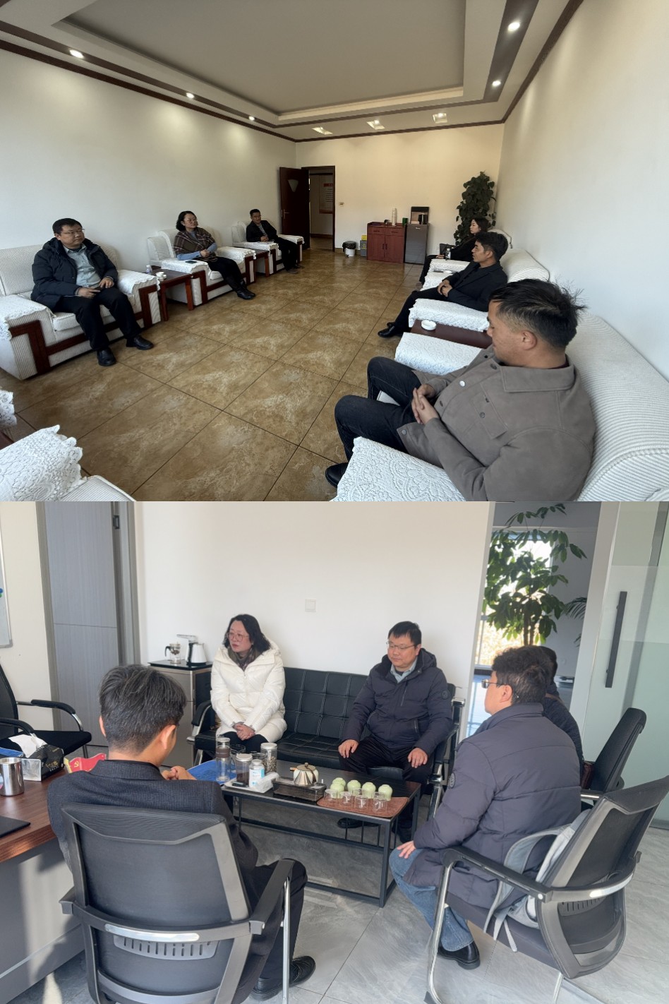 IMG_20251210_204847.jpg IMG_20251210_204847.jpg