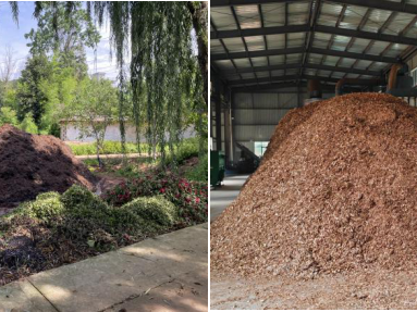 暑期社会实践 | 从课堂到田间地头，实践队用脚步踩出循坏经济的青春印记 第 4 张