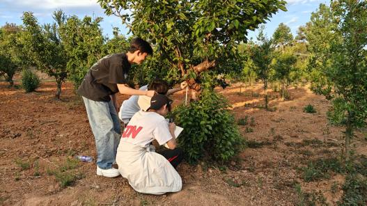 图片3(9).png 图片3(9).png